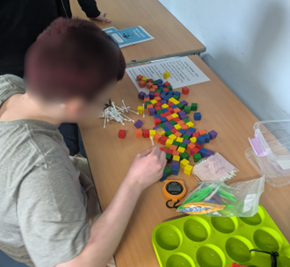 Netherlea Learner 2