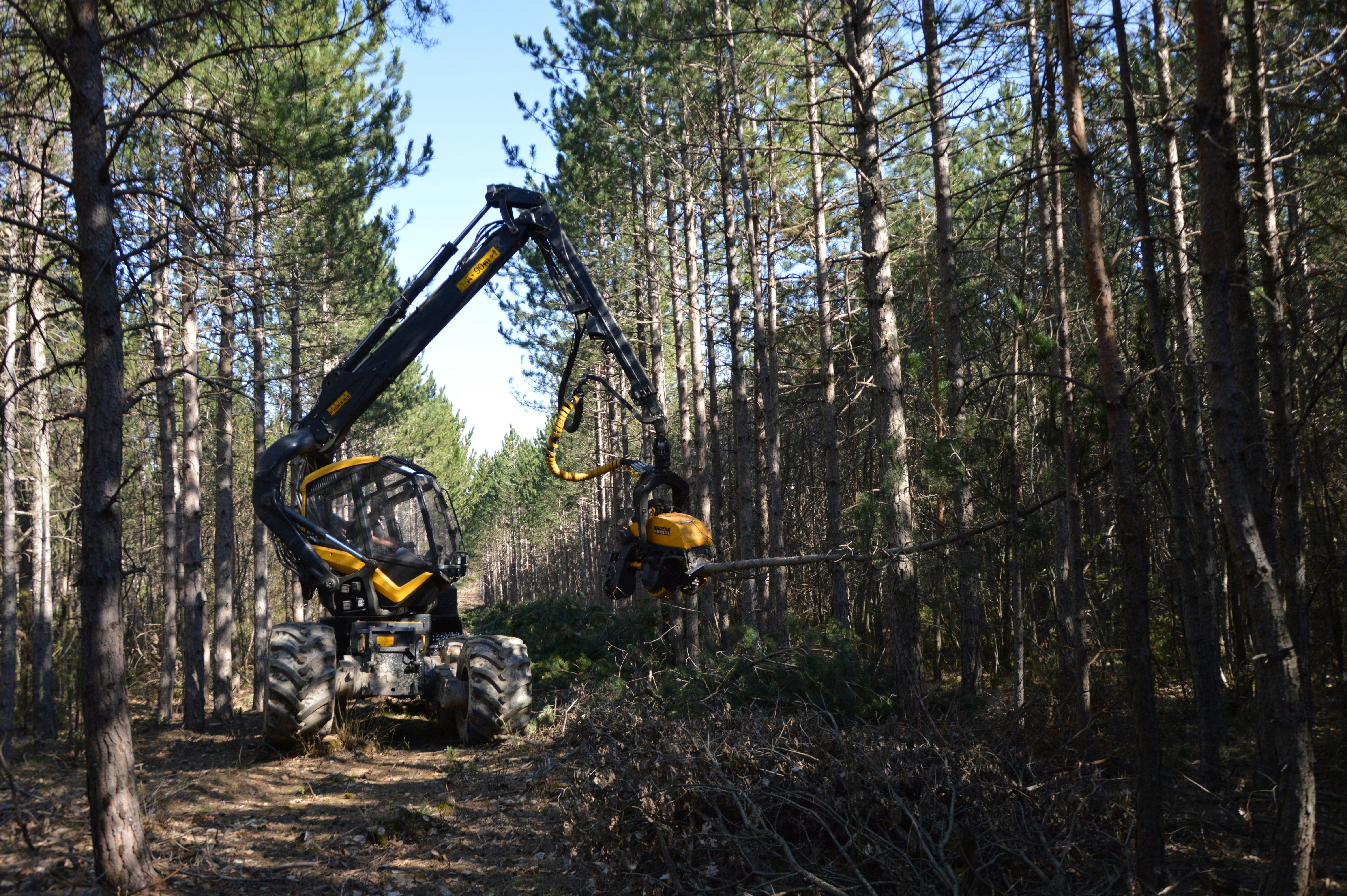 Pexels Ulrick T 15407739