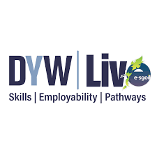 Dywlive